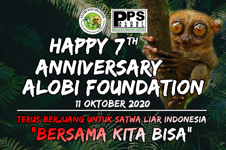 Read more about the article ULANG TAHUN ALOBI FOUNDATION KE-7