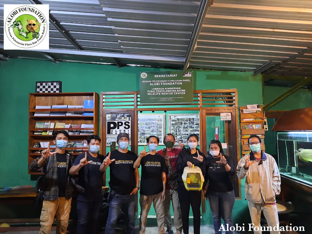 You are currently viewing Praktik Jual Beli Fauna Identitas Bangka Belitung, Mentilin (Cephalopachus bancanus) Berhasil di Gagalkan
