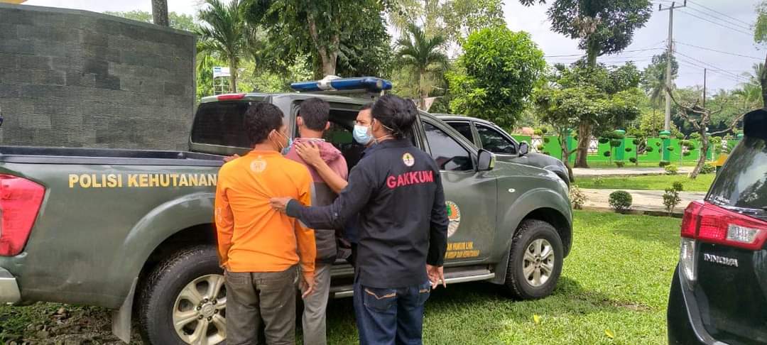 KLHK Tangkap Pemburu di TN Way Kambas, Siapkan Pidana Berlapis