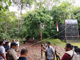 Read more about the article Merdekakan Satwa di Hari Kemerdekaan, BKSDA Sumsel Lepasliarkan 3 Ekor Elang