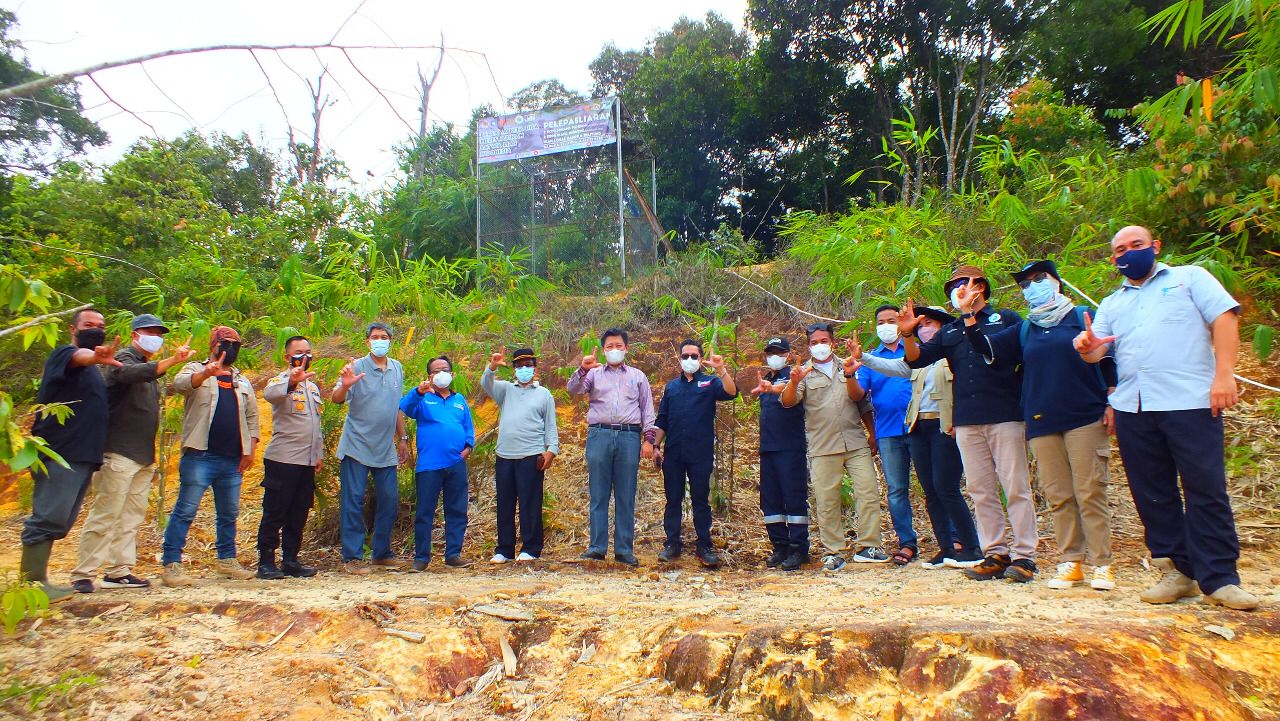 You are currently viewing Lagi, Sinergi BKSDA SUMSEL Dengan Para Pihak Lepasliarkan Musang Pandan dan Elang Brontok dan 500 Ikan Lokal Bangka ke Tahura Gunung Menumbing Kabupaten Bangka Barat