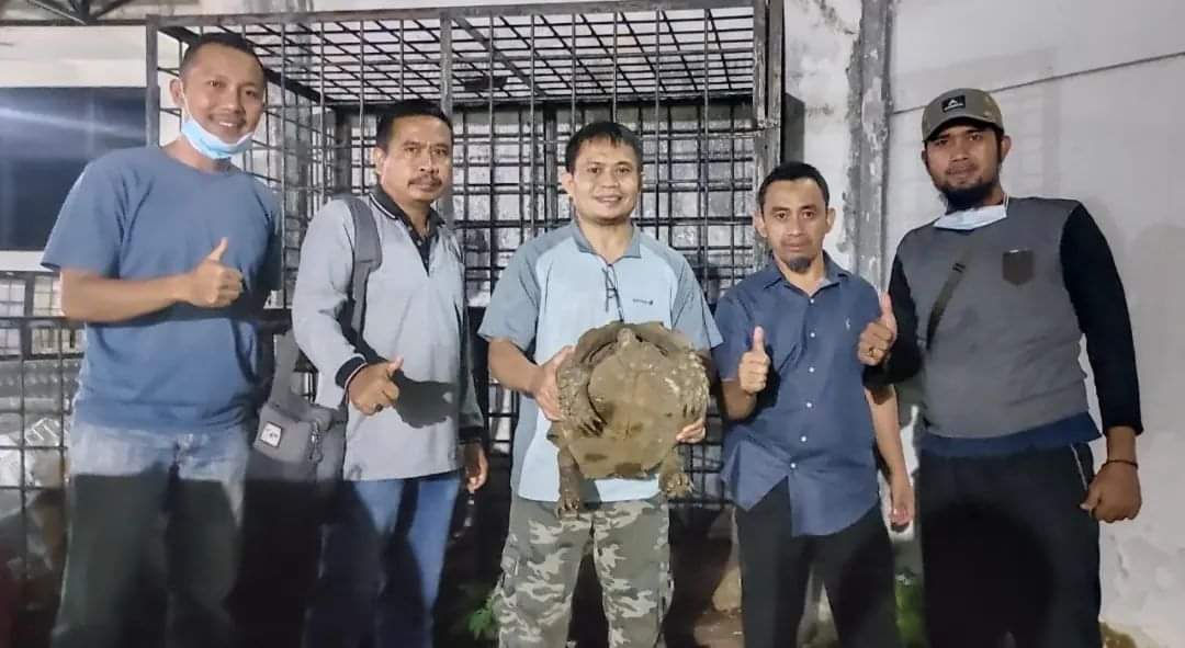 You are currently viewing BKSDA Sumbar dan Polda Sumbar Kembali Mengamankan Pelaku Perdagangan Satwa Liar Dilindungi