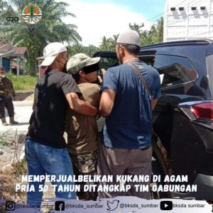 Read more about the article Memperjualbelikan Kukang Di Agam Pria 50 Tahun Ditangkap Tim Gabungan