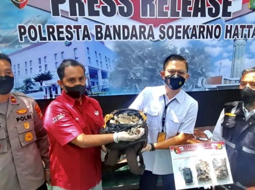 Read more about the article WN Mesir dan Dua WNI Selundupkan 67,8 Kg Sisik Trenggiling