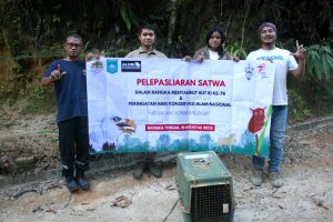 Read more about the article SATU EKOR KUKANG/SLOWLORIS ENDEMIK BANGKA (Nycticebus bancanus) KEMBALI KE HABITAT DALAM RANGKA MEMPERINGATI HARI KONSERVASI ALAM NASIONAL “HAPUNGKAL HIMBA KALINGU” DI l KAWASAN KONSERVASI KABUPATEN BANGKA TENGAH