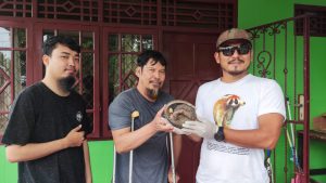 Read more about the article Alobi Foundation kembali Mengevakuasi 1 Ekor Trenggiling (Manis javanica) yang ditemukan warga di Desa Bikang, Bangka Selatan