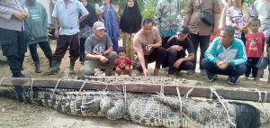 Read more about the article SERAHAN SATU EKOR BUAYA POROSUS DARI DESA SELAN PROV. BABEL YANG SEBELUMNYA SEMPAT MENYERANG WARGA DAN MENINGGAL DUNIA