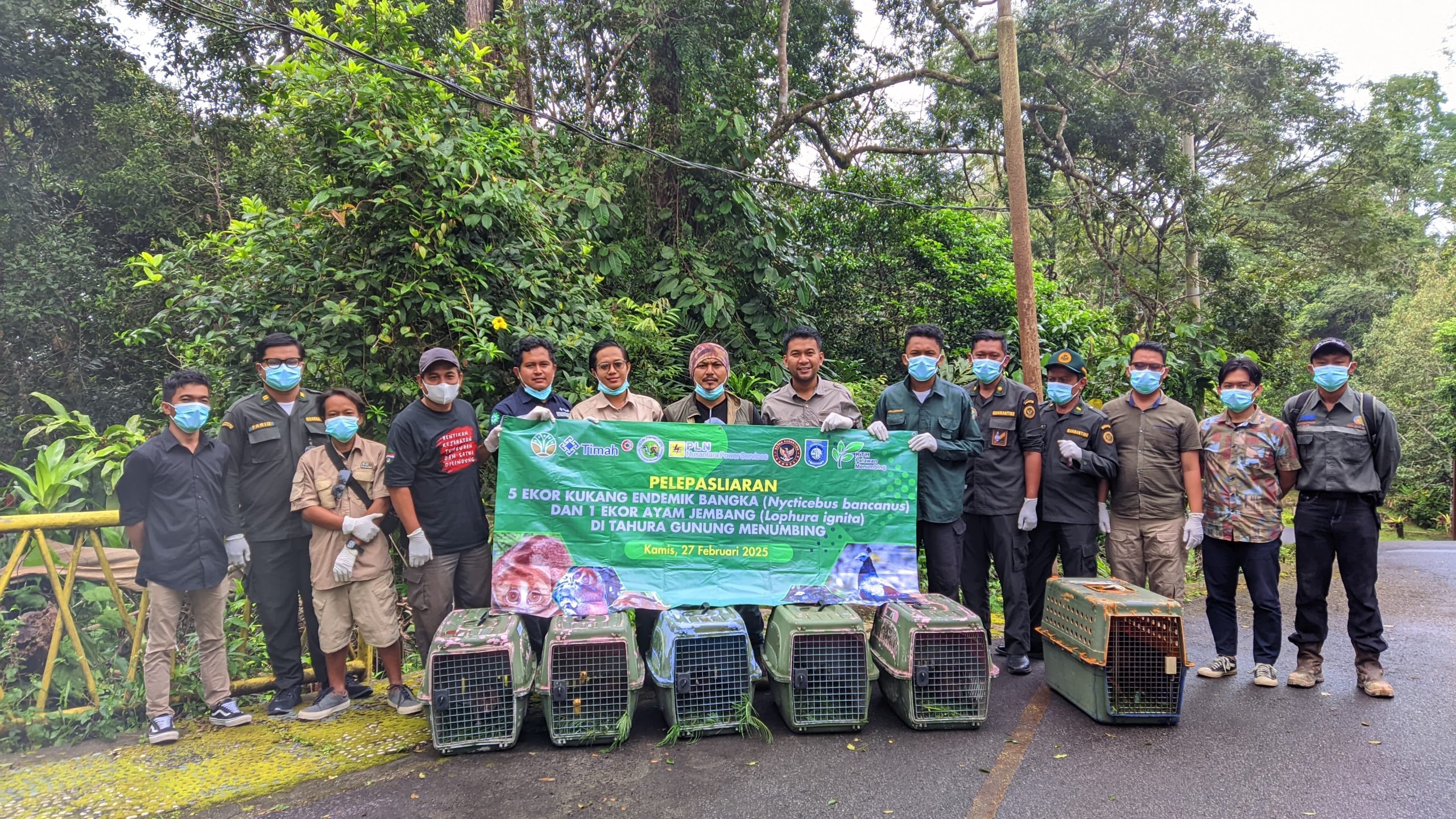 Read more about the article PELEPASLIARAN 5 INDIVIDU SATWA KUKANG BANGKA DAN SATU INDIVIDU AYAM SEMPIDAN DI HARI SATWALIAR DUNIA