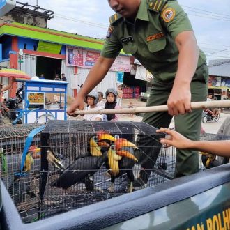 PERDAGANGAN DARING ENAM EKOR BURUNG LANGKA_3