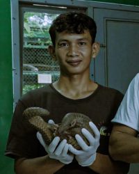 profil